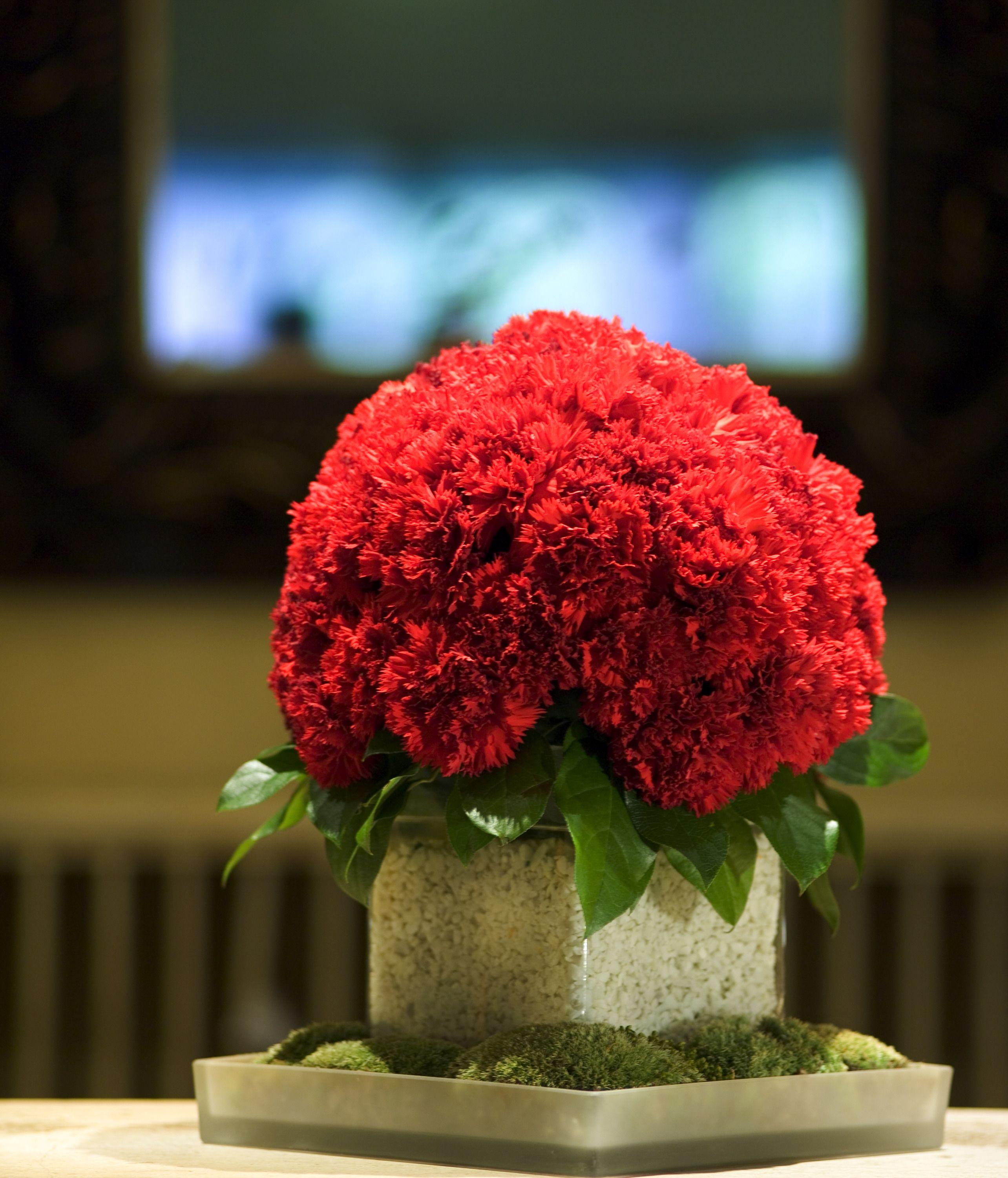 Hotel D'angleterre 5*